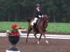 broodmare Madonna 203 (German Riding Pony, 2003, from Davignon)