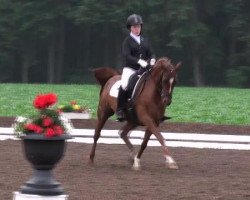 broodmare Madonna 203 (German Riding Pony, 2003, from Davignon)