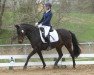 dressage horse Luna Mo (New Forest Pony, 2008, from Eros)