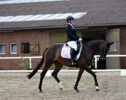 dressage horse Luciana 136 (Oldenburg, 2017, from Fürst Romancier)