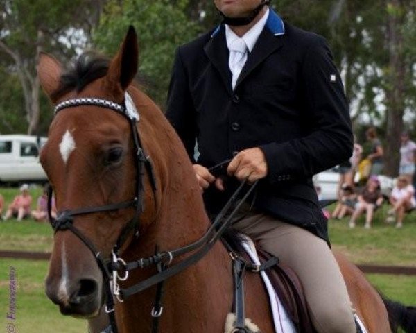 Pferd Taurus (ISSA-Warmblut (Australien), 2002, von AV Aries)