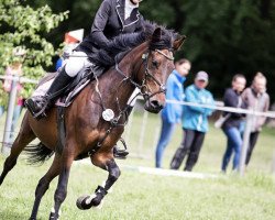 jumper Nanunana 8 (German Riding Pony, 2017, from Bon Jovi)