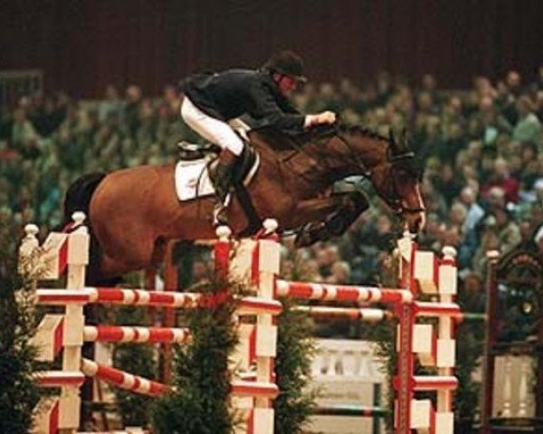 stallion Caretano Z (Holsteiner, 1992, from Caretino)