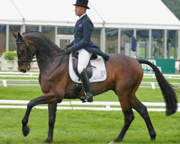 horse Rabadan 2 (Hanoverian, 2003, from Ramires)