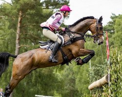 Springpferd Flying Finish (Holsteiner, 2002, von Candillo Z)