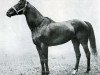 horse Bruleur xx (Thoroughbred, 1910, from Chouberski xx)
