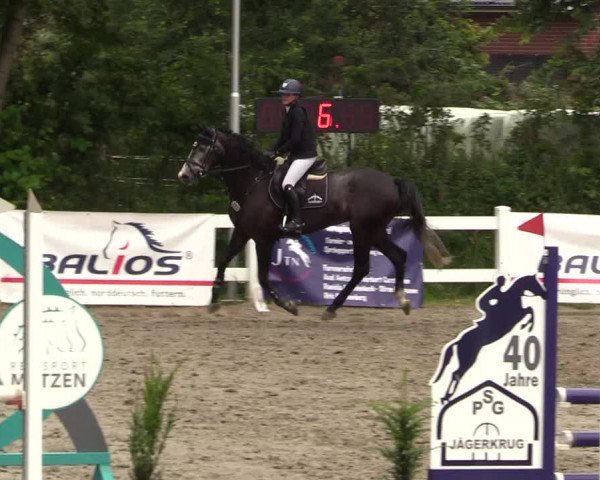 Reitturnier Mildstedt 2022