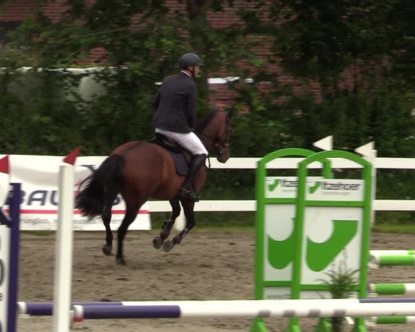 Reitturnier Mildstedt 2022