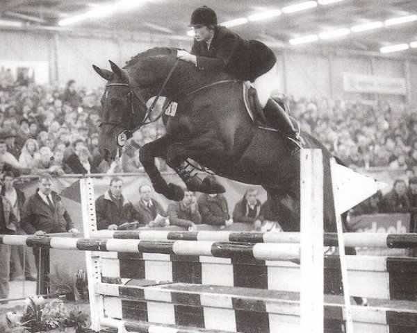 Springpferd Casimir (Koninklijk Warmbloed Paardenstamboek Nederland (KWPN), 1984, von Irco Polo)