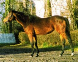 stallion Dixieland xx (Thoroughbred, 1977, from Conor Pass xx)