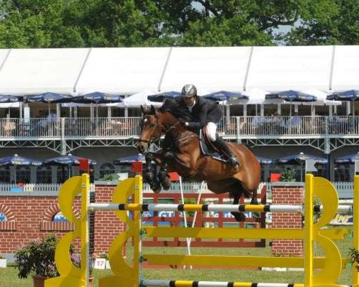 jumper Liconto del Pierre (Holsteiner, 2004, from Limbus)