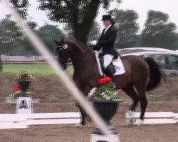 dressage horse Riverdance 25 (Bavarian, 1998, from Ragazzo)