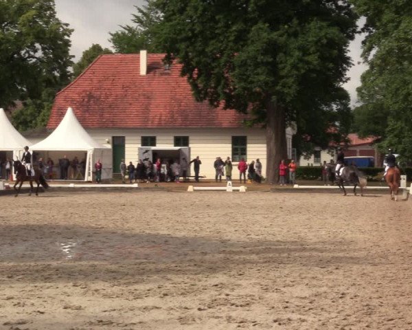 Reitturnier Redefin 2022