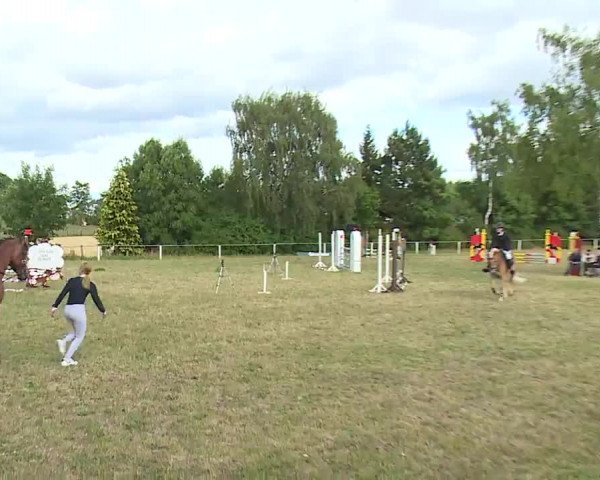 Reitturnier Hof-Haidt/Ofr. 2022