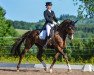 dressage horse Aurea 5 (Hanoverian, 2005, from Alabaster)