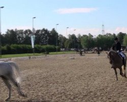 broodmare Banja-Luka (German Riding Pony, 1995, from Bavarottie)