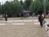 dressage horse Djanna Ivana (Oldenburg, 2003, from Dimension)