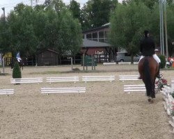 dressage horse Djanna Ivana (Oldenburg, 2003, from Dimension)