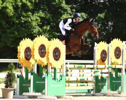 jumper Miss Farina (Austrian Warmblood, 2014, from For Pleasure)