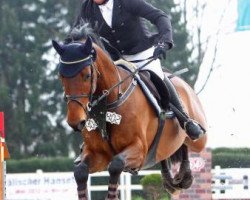 jumper Stockinger (Hanoverian, 2004, from Silvio I)