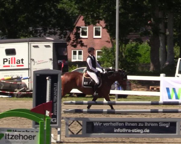 Reitturnier Mildstedt 2022