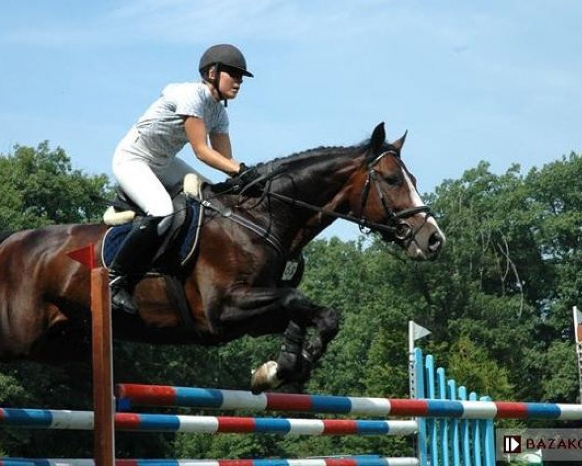 jumper Pink Floyd HL (Polish Warmblood, 1998, from Pythagoras Z)