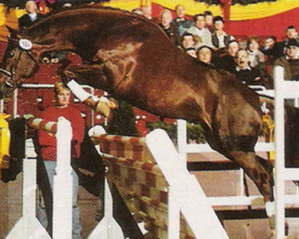 stallion La Piko (Oldenburg, 1991, from Landfriese I)
