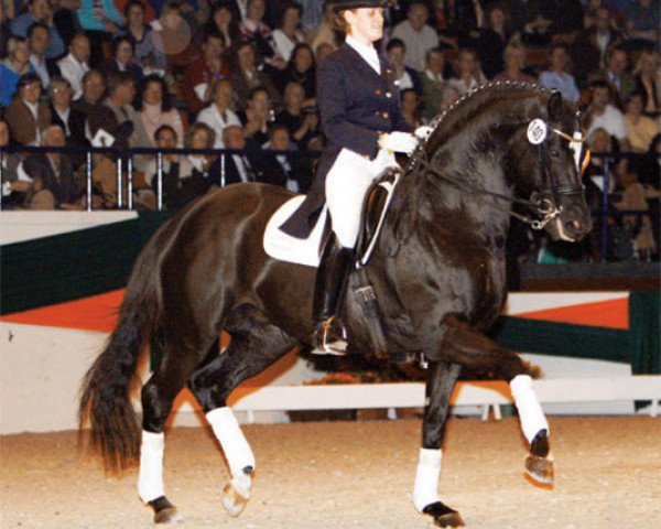 dressage horse Latimer (Trakehner, 1996, from Saint Cloud)