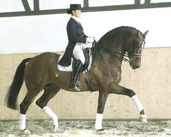 stallion Lucky Lionell (Holsteiner, 1988, from Lantaan)