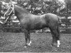 stallion Courage (Welsh-Pony (Section B), 1986, from Constantin)