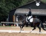 dressage horse First Ampere (Hanoverian, 2016, from Nymphenburg's First Ampere)