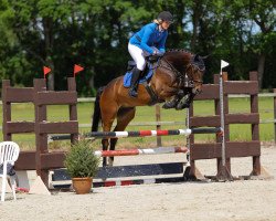 jumper Change my Day MS (Mecklenburg, 2017, from Casino Berlin OLD)