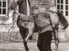 horse Loretto (Trakehner, 1957, from Pindar xx)