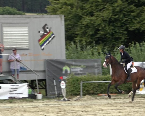 Reitturnier Weiswampach 2022