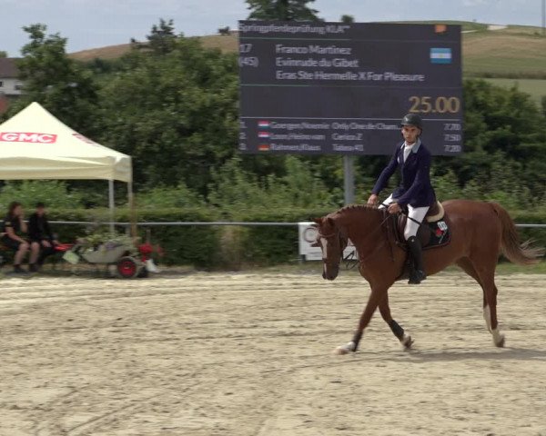Reitturnier Weiswampach 2022