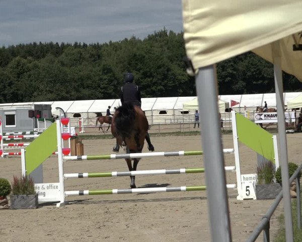 Reitturnier Weiswampach 2022