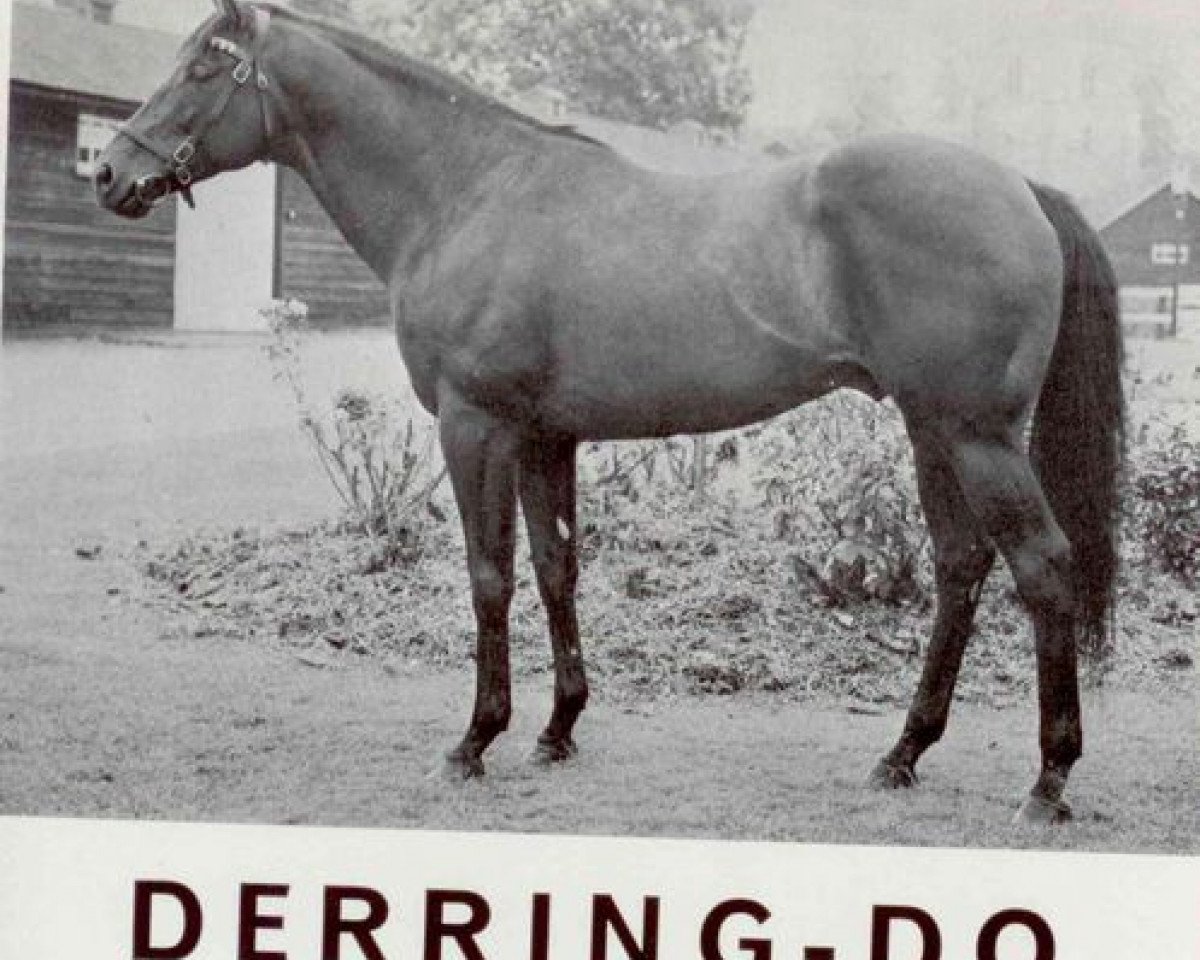 stallion Derring-Do xx (Thoroughbred, 1961, from Darius xx)