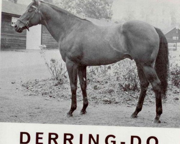Deckhengst Derring-Do xx (Englisches Vollblut, 1961, von Darius xx)