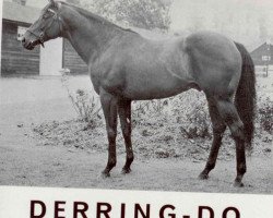 stallion Derring-Do xx (Thoroughbred, 1961, from Darius xx)