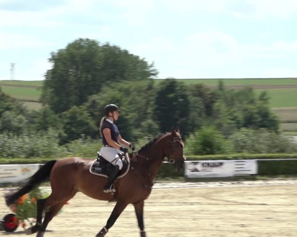 Reitturnier Weiswampach 2022