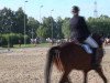 dressage horse Rutterfly (Westphalian, 2003, from Rubin Royal OLD)