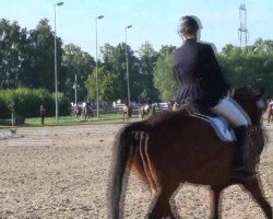 dressage horse Rutterfly (Westphalian, 2003, from Rubin Royal OLD)