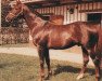 stallion Palm Island xx (Thoroughbred, 1975, from Mill Reef xx)