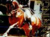 stallion Wanninger (Hanoverian, 1983, from Wenzel I)