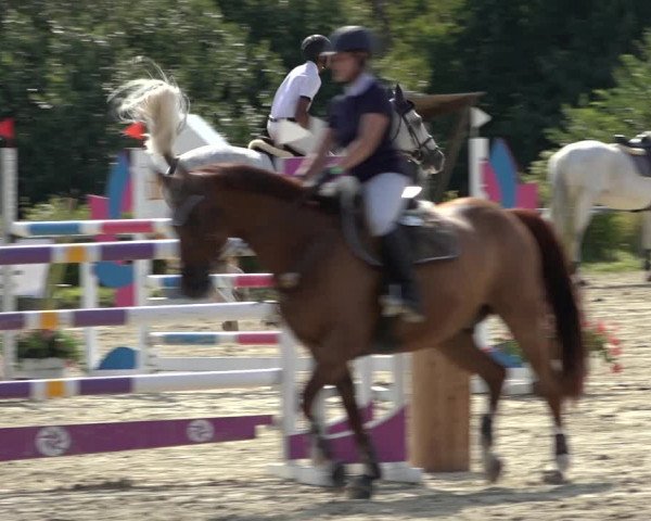 Reitturnier Weiswampach 2022