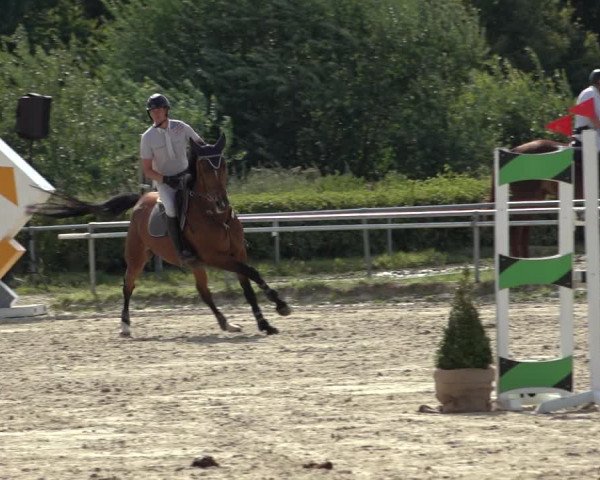 Reitturnier Weiswampach 2022