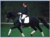 stallion Dressage Royal (Oldenburg, 1998, from Donnerhall)
