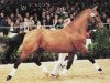 stallion Azett (Hanoverian, 1987, from Aladin Z)