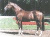 stallion Pageno (Westphalian, 1985, from Pilot)