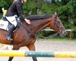 dressage horse Sandro 275 (Oldenburg, 1999, from Sandro Hit)